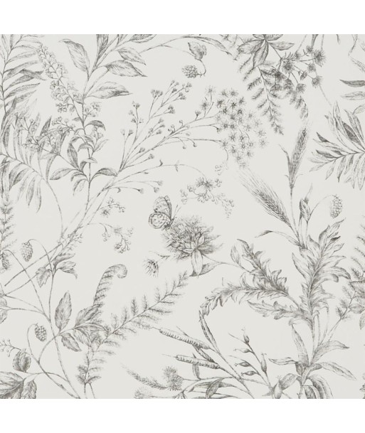 Papier Peint RL Fern Toile - Pencil Le MVP de beaucoup