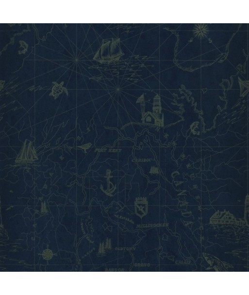 Papier Peint RL Shipping Lanes Map - Brilliant Blue du meilleur 