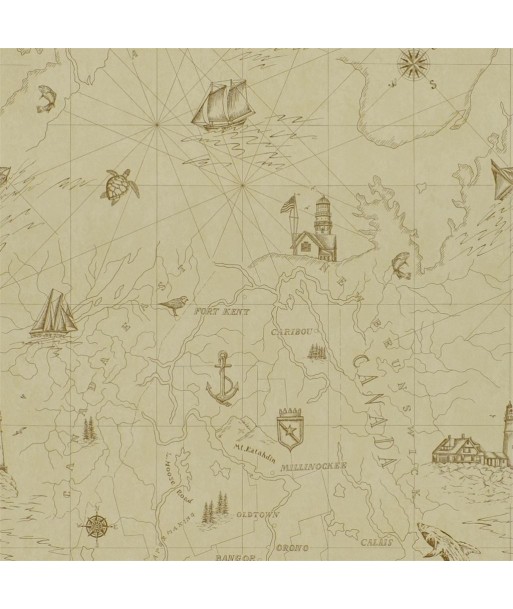 Papier Peint RL Shipping Lanes Map - Parchment Venez acheter