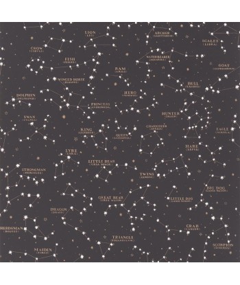 Papier Peint RL Starry Sky Black sur le site 