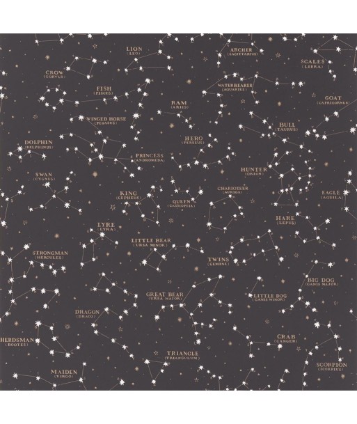 Papier Peint RL Starry Sky Black sur le site 