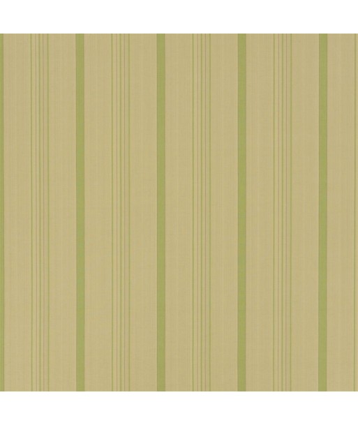 Tissu RL Averill Ticking Stripe - Fern Profitez des Offres !