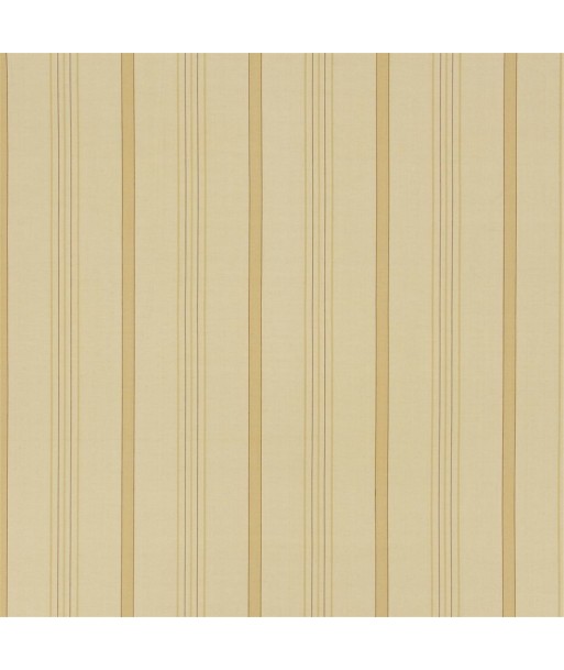 Tissu RL Averill Ticking Stripe - Maize prix