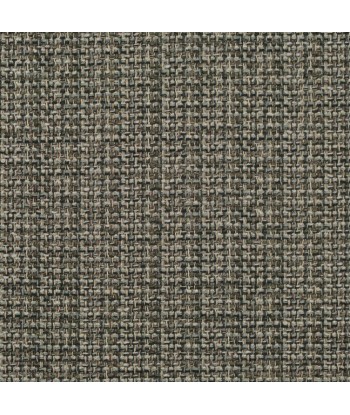 Tissu RL Benedetta Tweed Ebony des créatures d'habitude