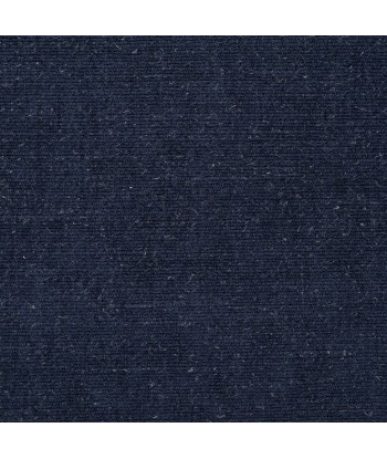 Tissu RL Buckland Weave - Indigo une grave pollution 