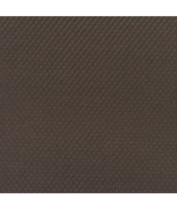 Tissu RL Escondido Twill Ebony de technologie