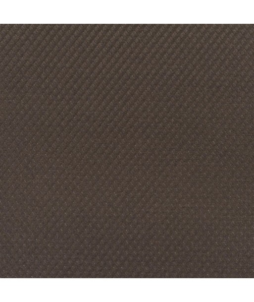 Tissu RL Escondido Twill Ebony de technologie